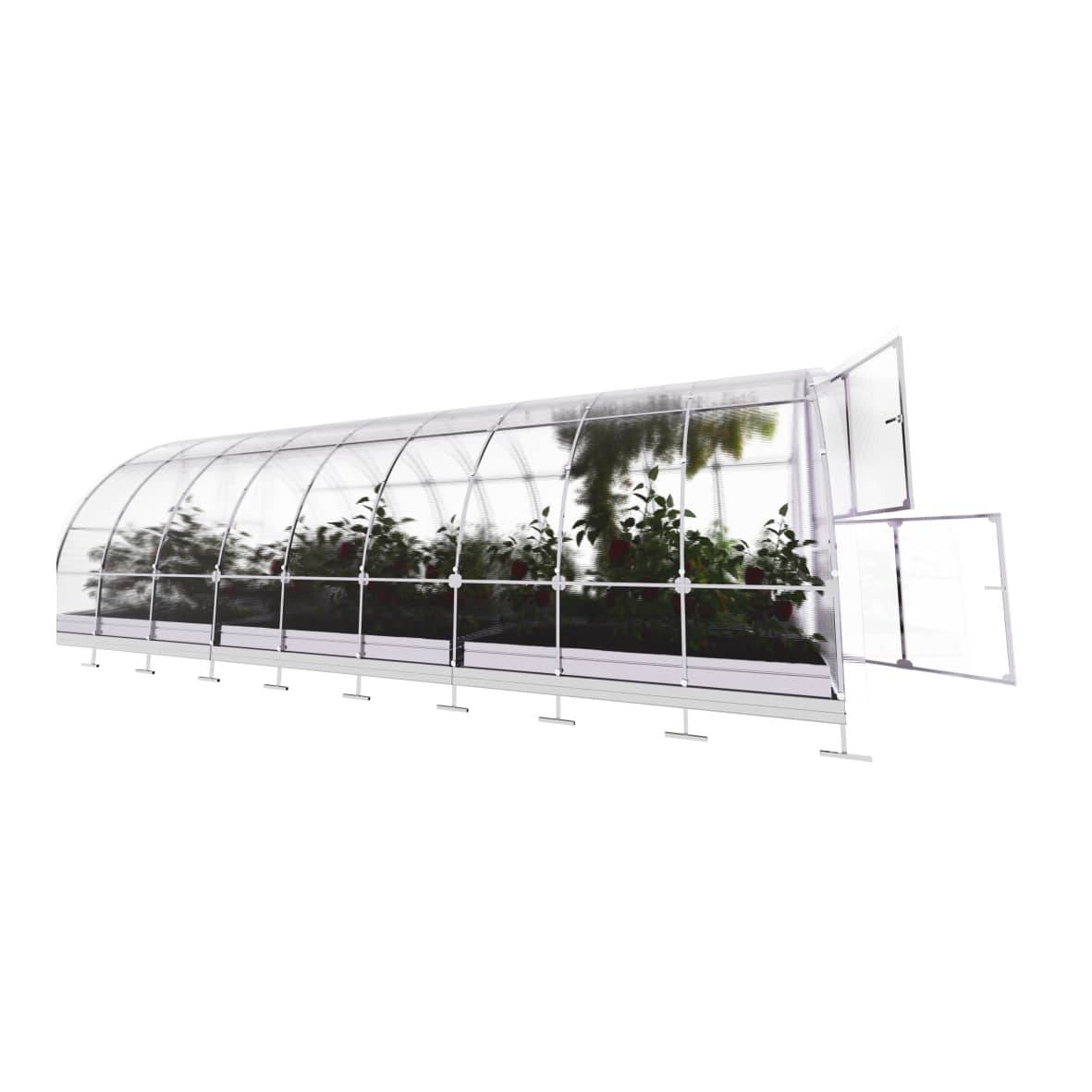 KLASIKA GREENHOUSES - Serre KLASIKA TUBE 3 x 6 m (18 m²), 4 mm avec revêtement en polycarbonate - Image 5