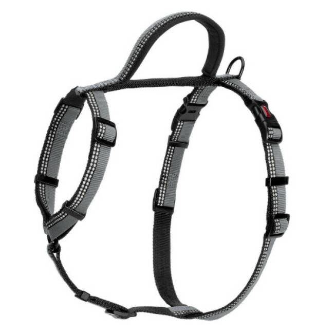 Company of animals - Harnais Walking Halti pour chien - Taille M Noir