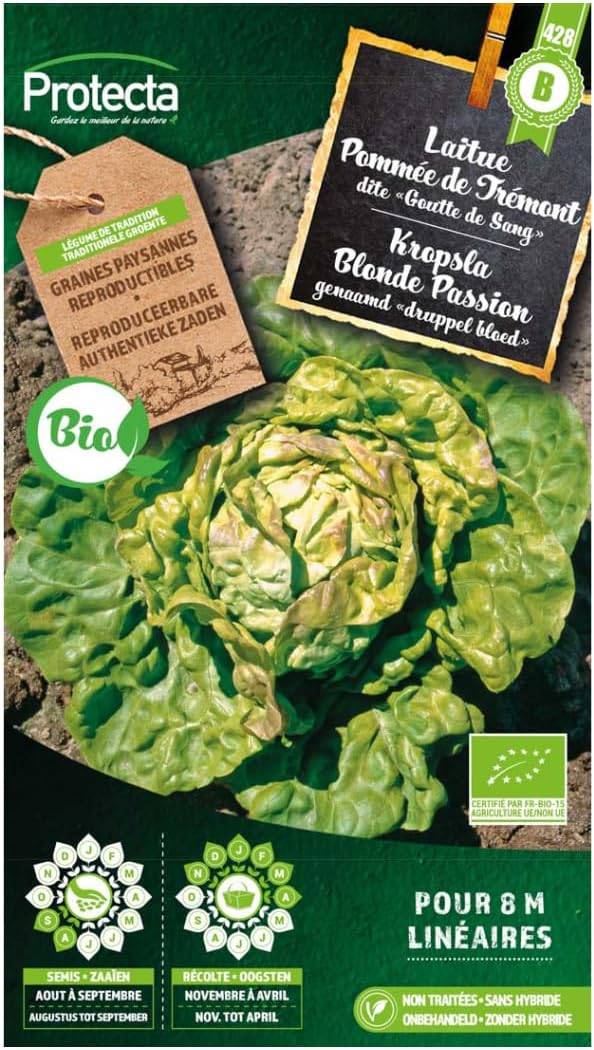 Protecta - Semence Laitue Pommée de Trémont BIO