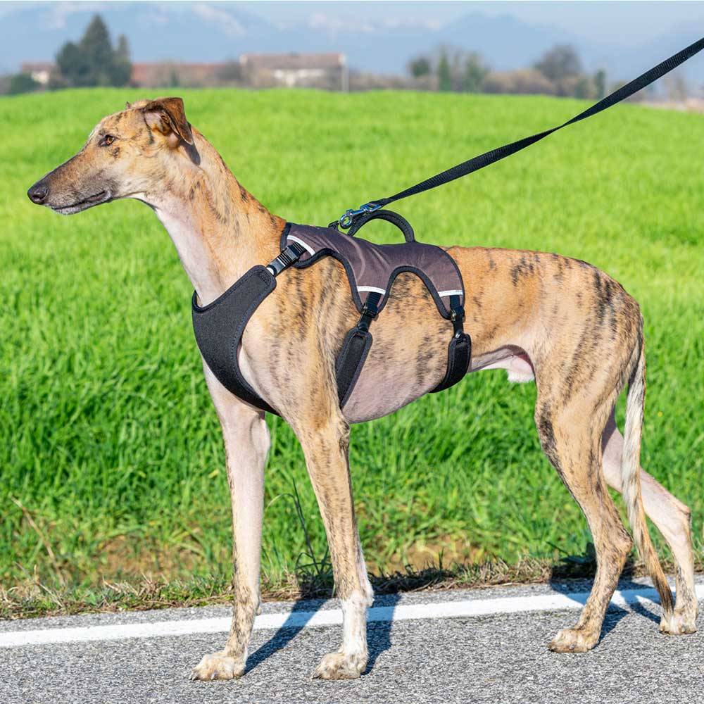 Ferplast - Ferplast Harnais Chien Réglable L Poitrail 70-80 cm avec Poignée, Marron - Imagen 2
