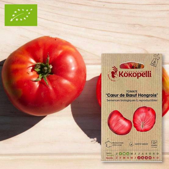 Tomate Cœur de Bœuf Hongrois- Graines bio à semer - Image 1