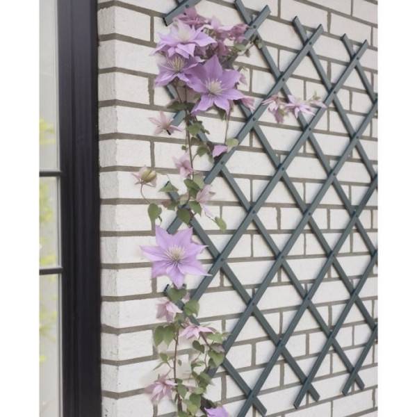 Treillis extensible - NATURE - En plastique Anthracite - 50 x 150 cm - Image 2