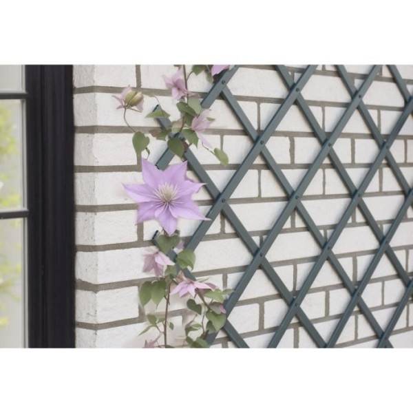 Nature - Treillis extensible - NATURE - En plastique Anthracite - 50 x 150 cm - Image 1