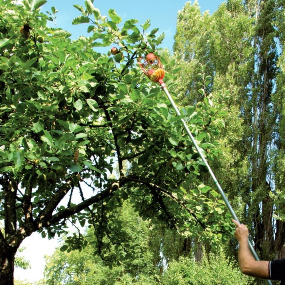 Cueille fruits métallique XXL - Imagen 3