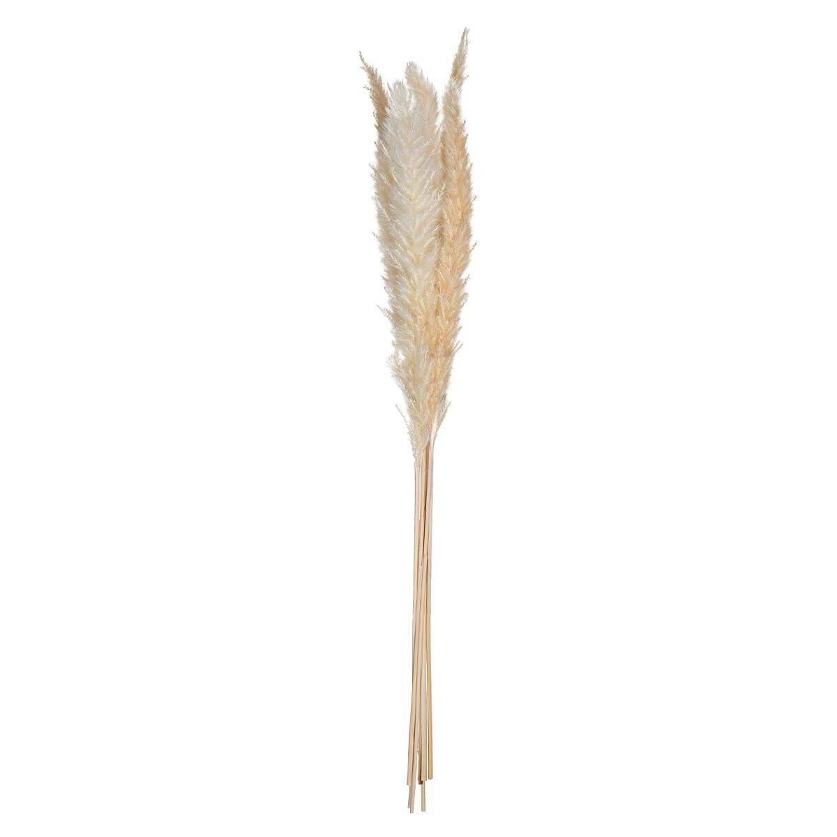 Lot de 6 Fleurs Séchées "Pampa" 66cm Naturel - Image 2