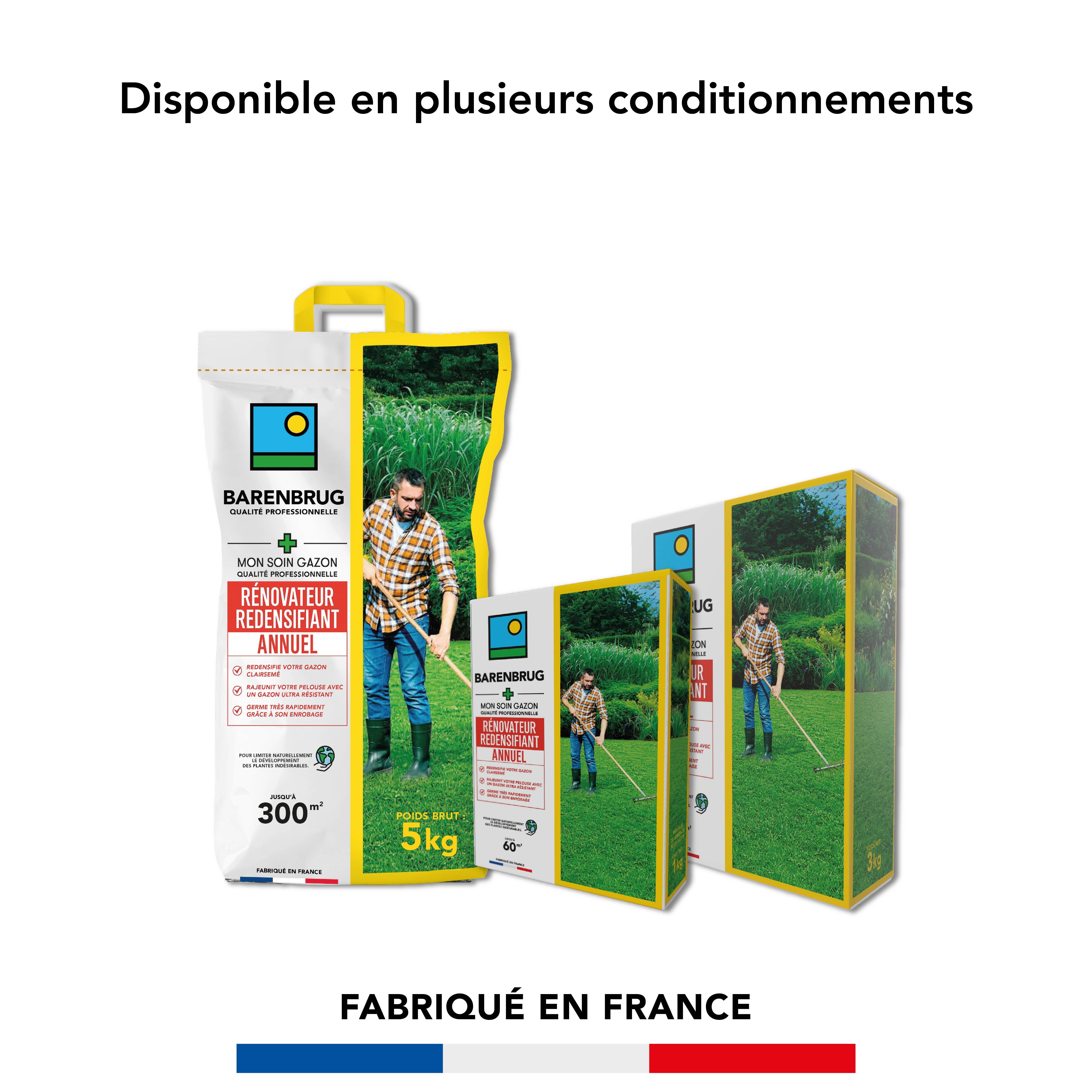 Soin Rénovateur Redensifiant - Redensifie et Rajeunit le Gazon - Germe Très Rapidement - Semences avec Enrobage - 1KG - BARENBRUG - Image 6