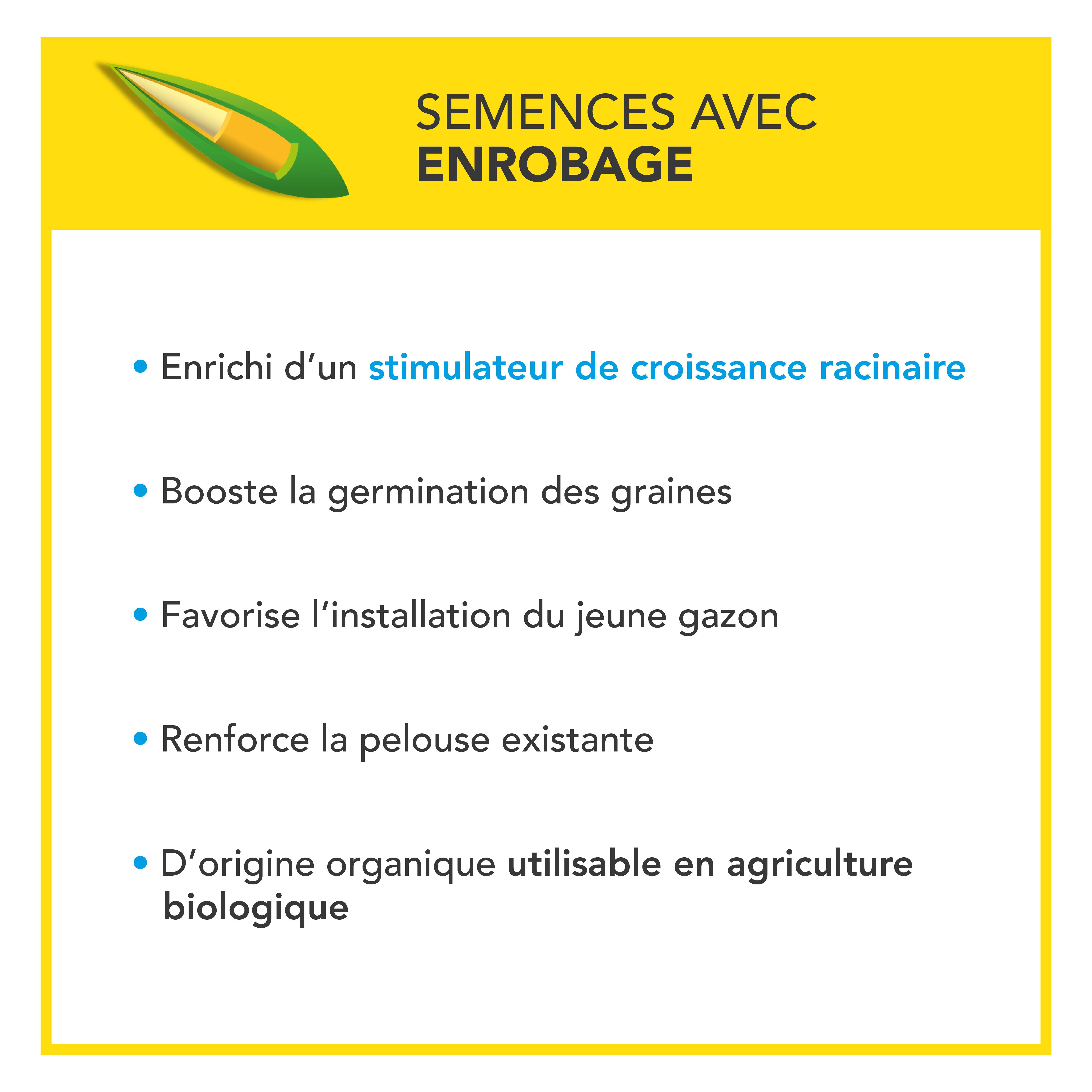 Soin Rénovateur Redensifiant - Redensifie et Rajeunit le Gazon - Germe Très Rapidement - Semences avec Enrobage - 1KG - BARENBRUG - Image 5