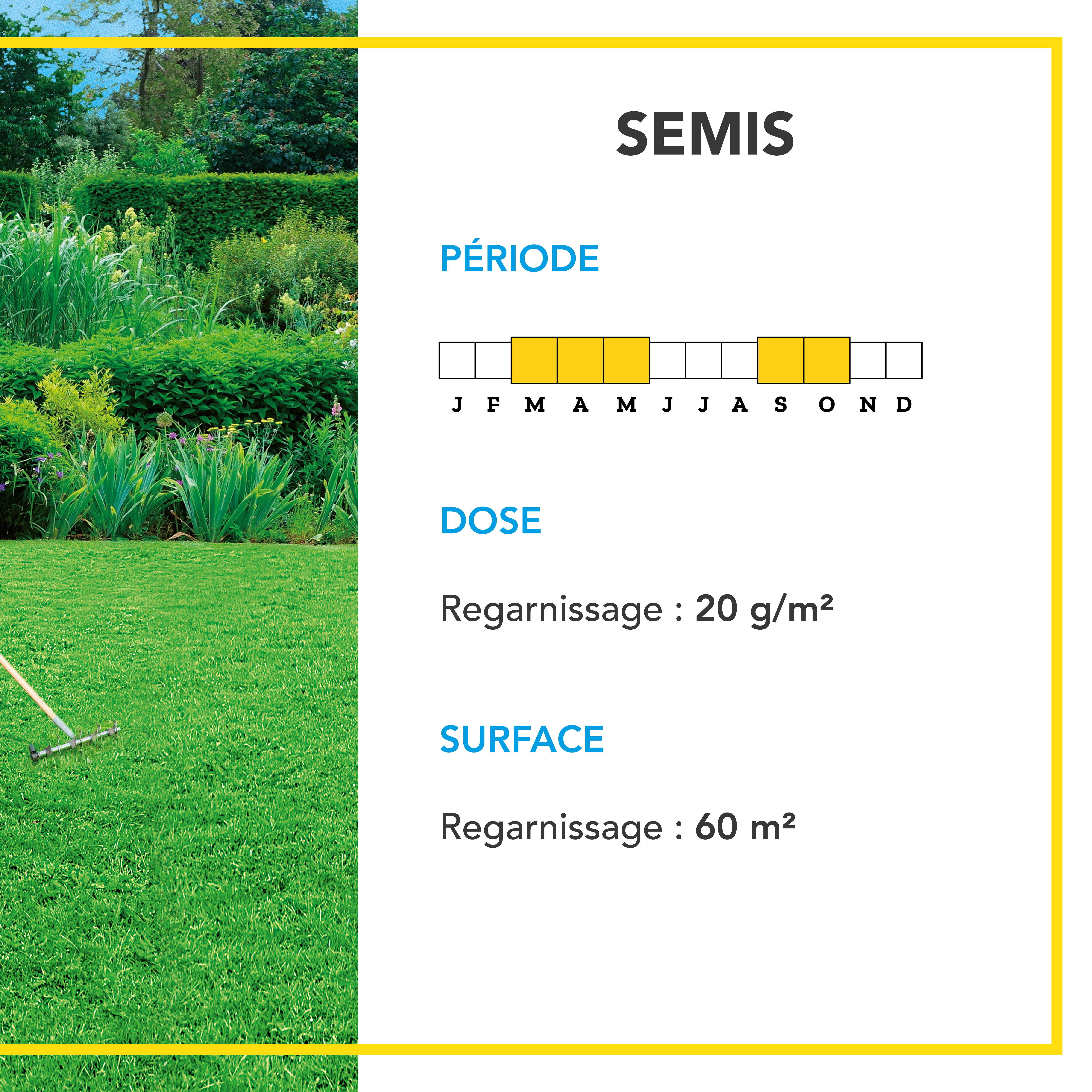 Soin Rénovateur Redensifiant - Redensifie et Rajeunit le Gazon - Germe Très Rapidement - Semences avec Enrobage - 1KG - BARENBRUG - Image 4