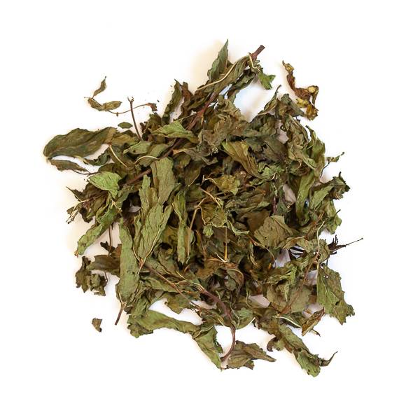 Menthe - 150 g - L'Eden des Pattounes