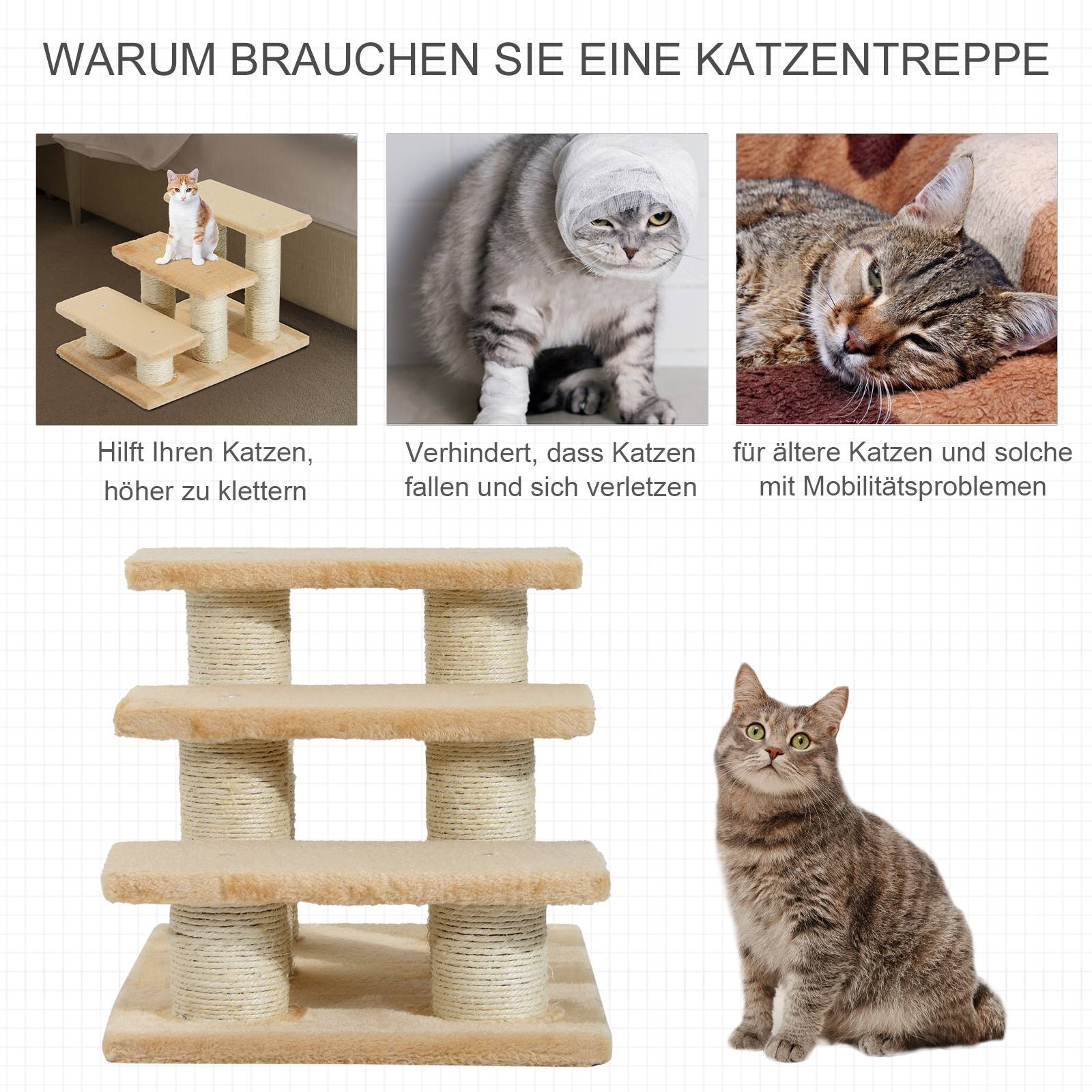 Escalier chien 3 marches 34 cm haut, chats/chiens, pliable, rampe, lit, canapé, crème - Image 9