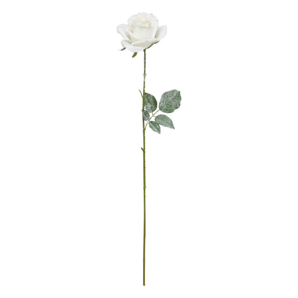 Fééric Lights & Christmas - Branche rose blanc enneigée H62 - Atmosphera Créateur d'intérieur - Imagen 1