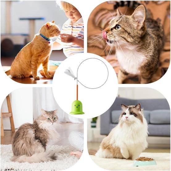 Jouets à Plumes Pour Chats Adsorption Rotative Antidérápant, Surfaces Lisses Verts - Lytech - Image 4