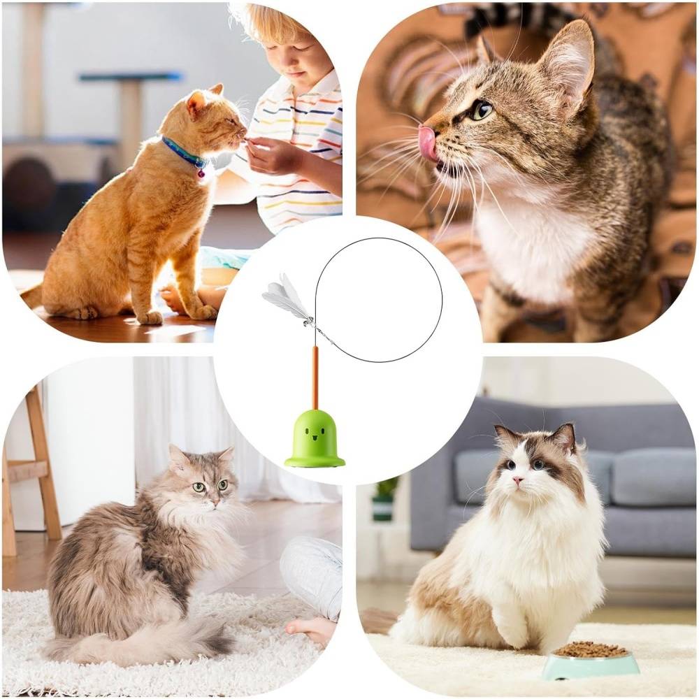 Jouets à Plumes Pour Chats Adsorption Rotative Antidérápant, Surfaces Lisses Verts - Lytech - Image 4