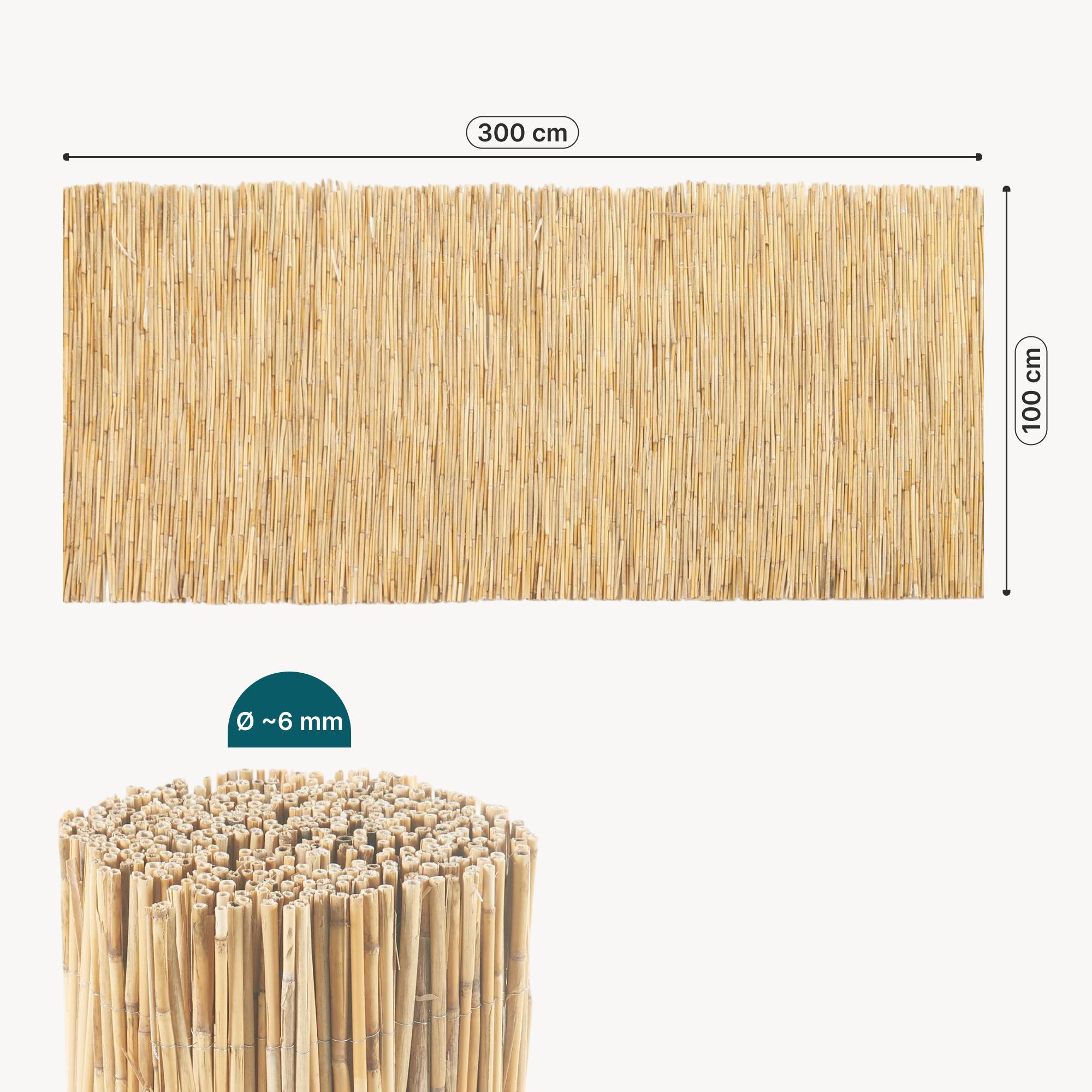 Casa.Pro - Canisse en roseau Abbateggio 100 x 300 cm naturel casa.pro - Imagen 6