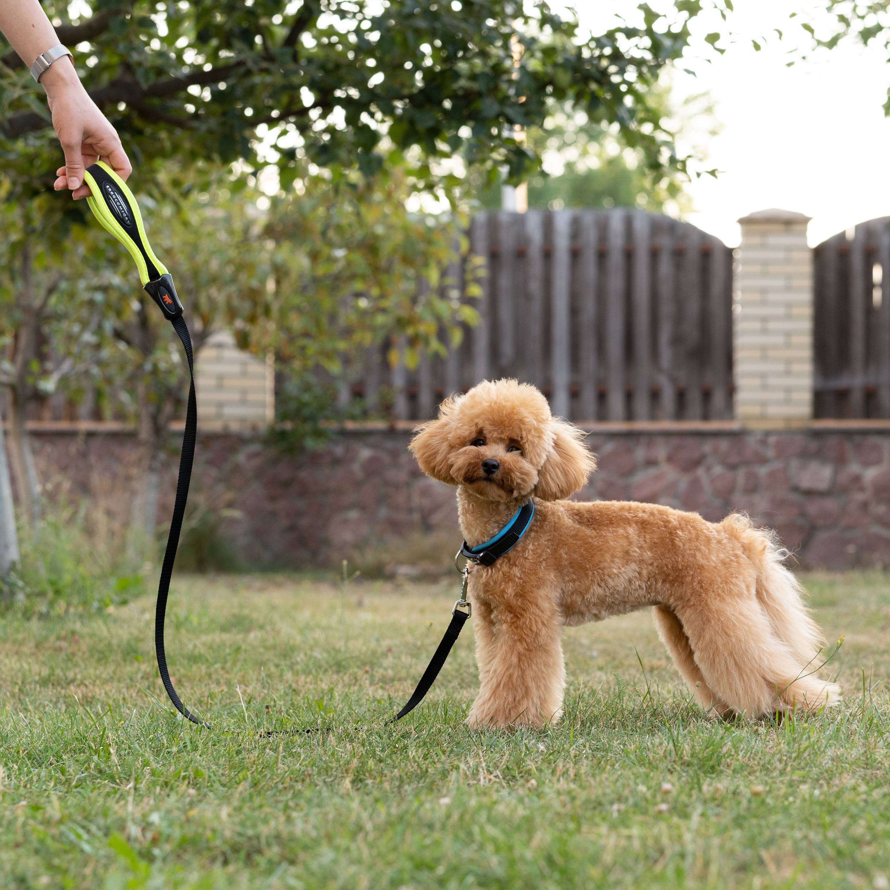 Ferplast - Ferplast laisse pour chien ERGOFLUO, laisse pour petit chien, poignée ergonomique rembourrée, nylon. Taille 120 cm, Jaune - Imagen 3