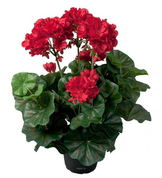 Géranium artificiel Rouge 6 têtes en pot lesté H35cm superbes feuilles - couleur: Rouge