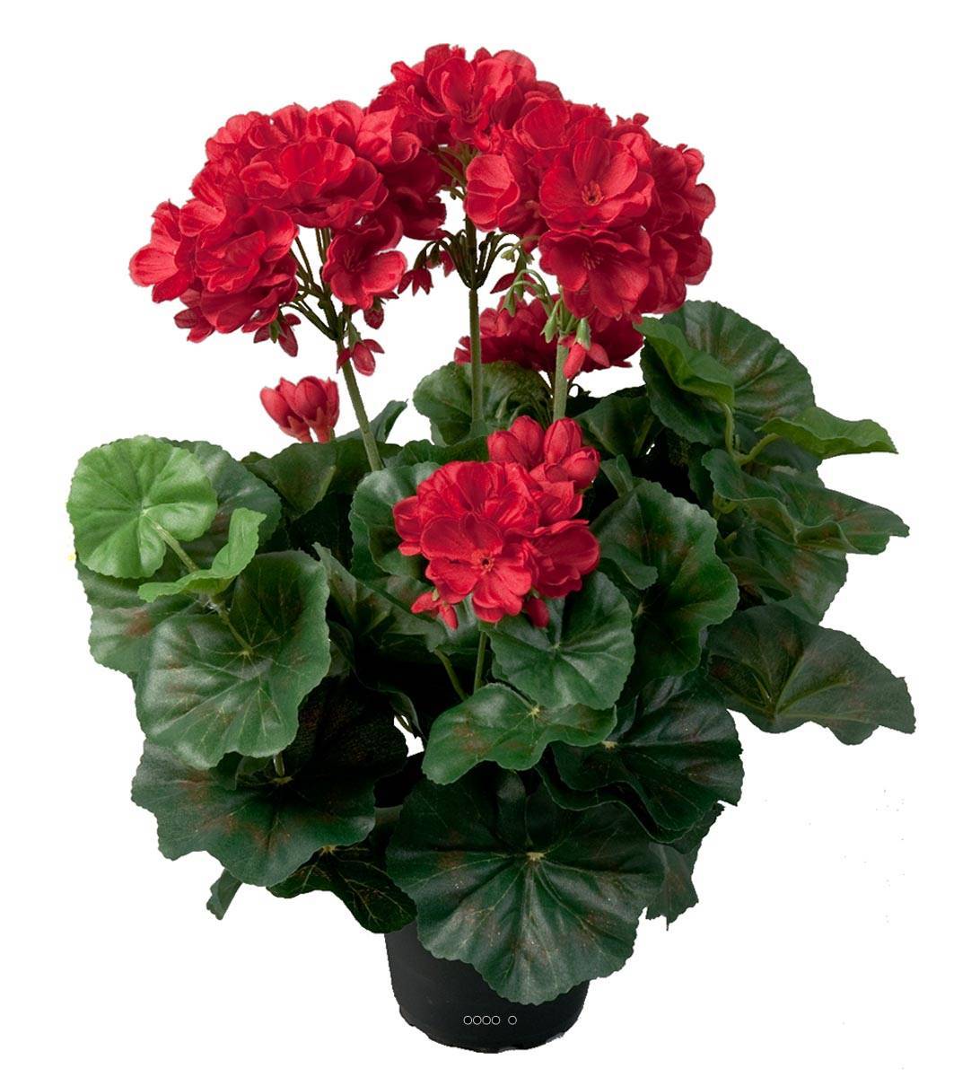 Géranium artificiel Rouge 6 têtes en pot lesté H35cm superbes feuilles - couleur: Rouge