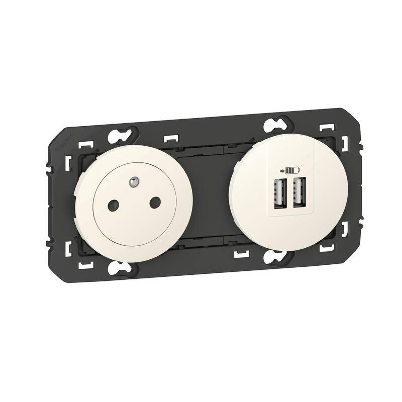 Legrand - Prise de courant 2P+T surface avec prise 2 USB type-A DOOXIE 3A précâblés finition blanc - LEGRAND - 600342