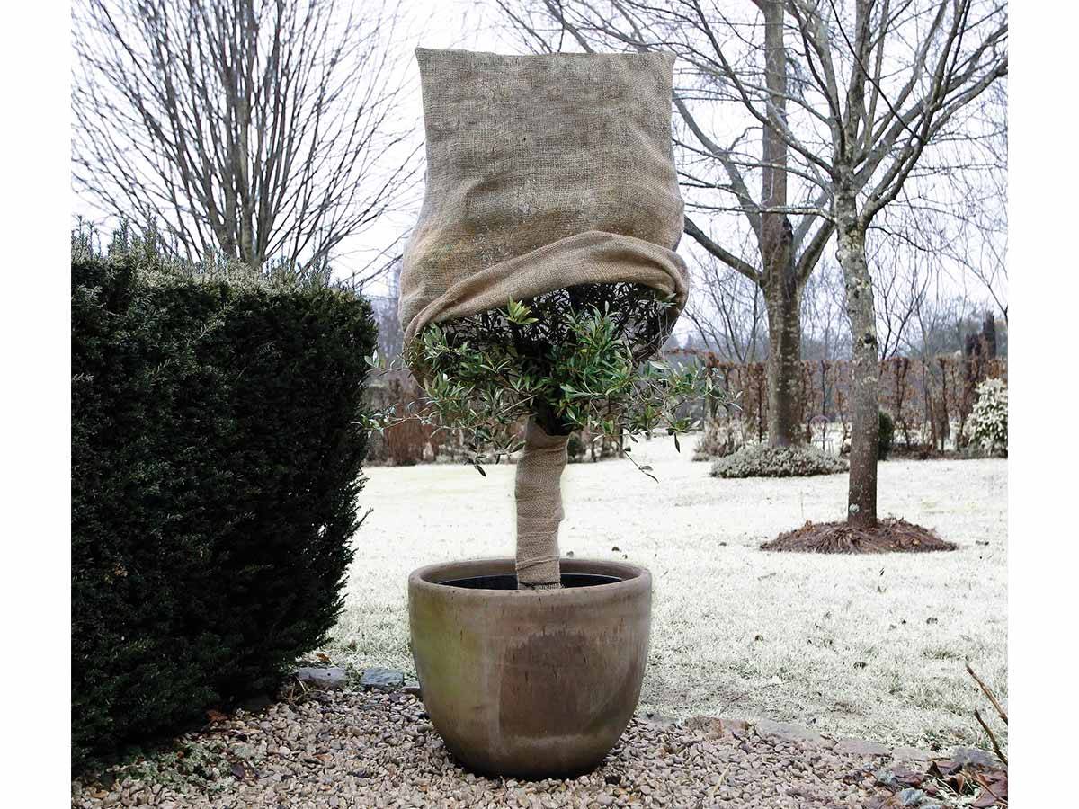 Nature - Housse d'hivernage 230 g en toile de jute, Dimensions H 1 m x Ø 0.75 m - Image 3