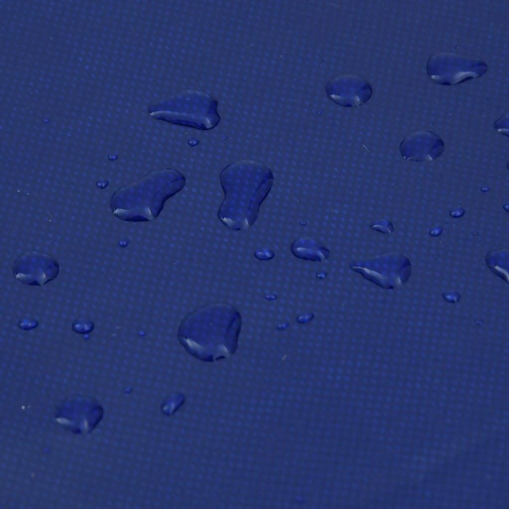 Bache  Dario Bleu  2,5 X 4,5  - P95059B - Image 6