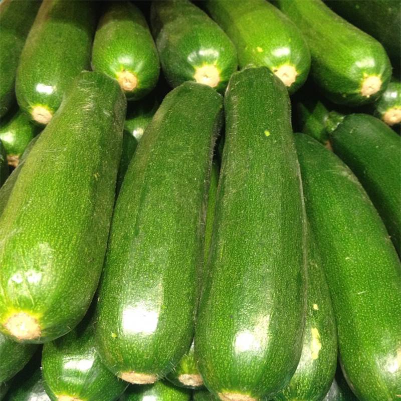 Courgette Diamant F1 le sachet de 20 graines environ (2g)