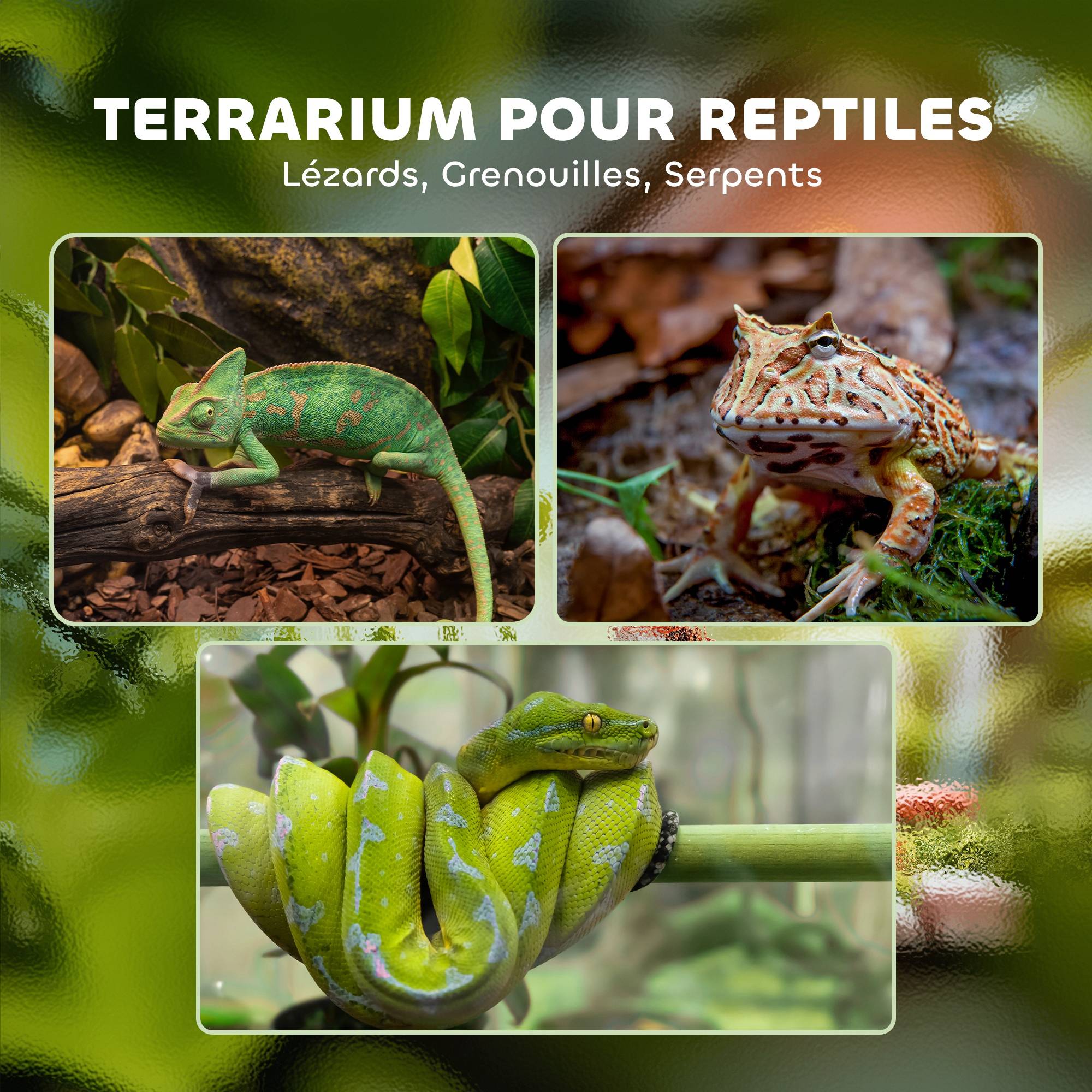 Terrarium vivarium verre trempé reptiles amphibiens anti-évasion aéré 20x20x30cm noir - ComfortXL Outdoor Living - Image 6