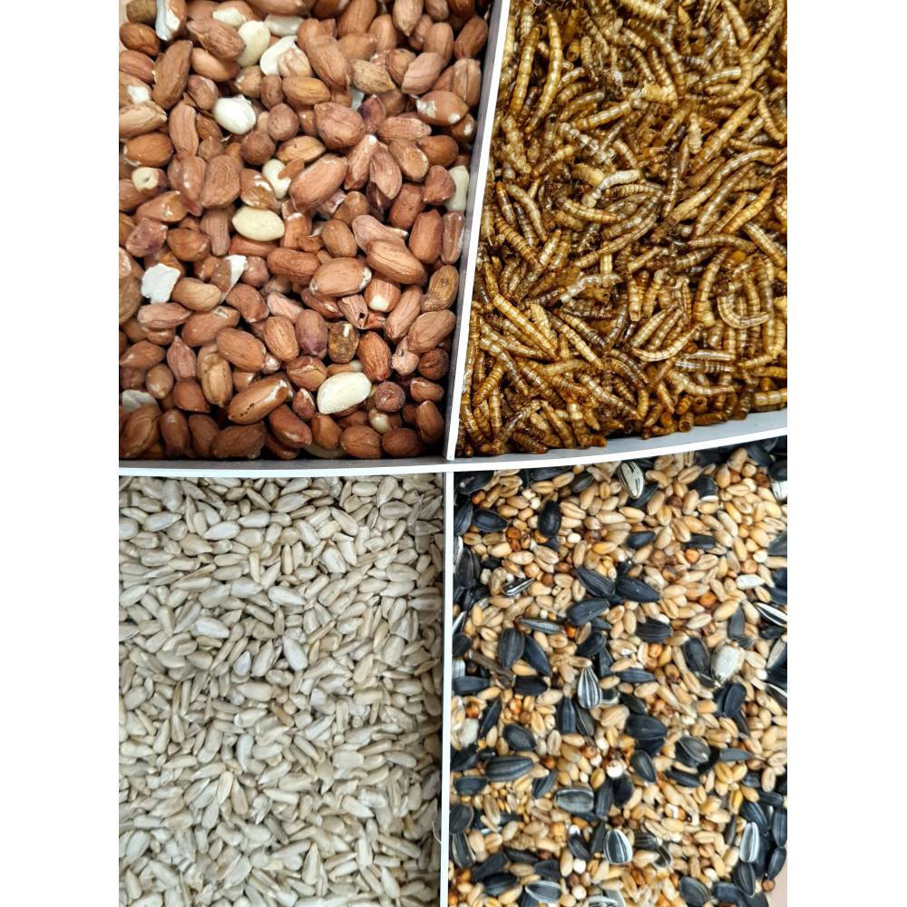 Zolux - zolux - Mix premium 4 variétés  graines et vers de farine, Seau de 2.5 kg pour oiseaux - Imagen 4