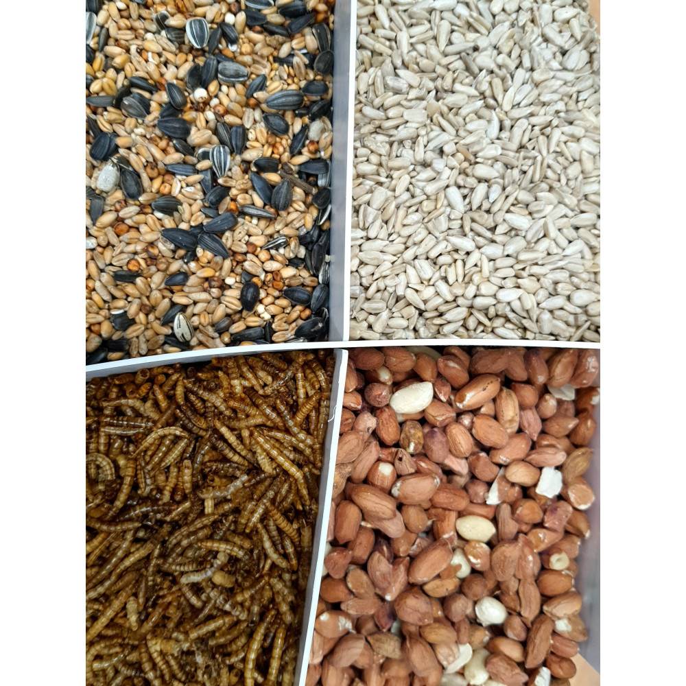 Zolux - zolux - Mix premium 4 variétés  graines et vers de farine, Seau de 2.5 kg pour oiseaux - Imagen 2