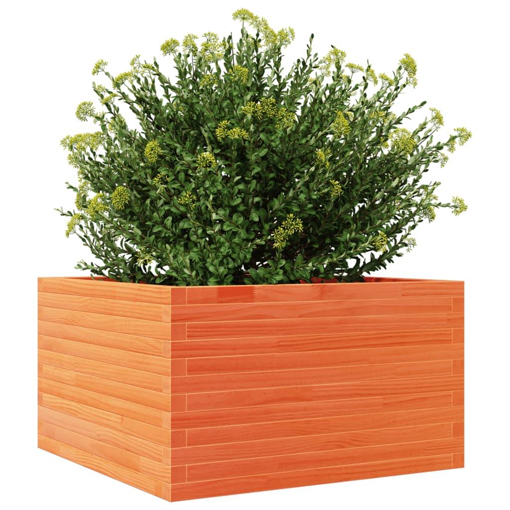 Maison Chic - Jardinière, Bac à fleurs, Pot de fleurs cire marron 80x80x45,5 cm bois de pin massif - Imagen 4