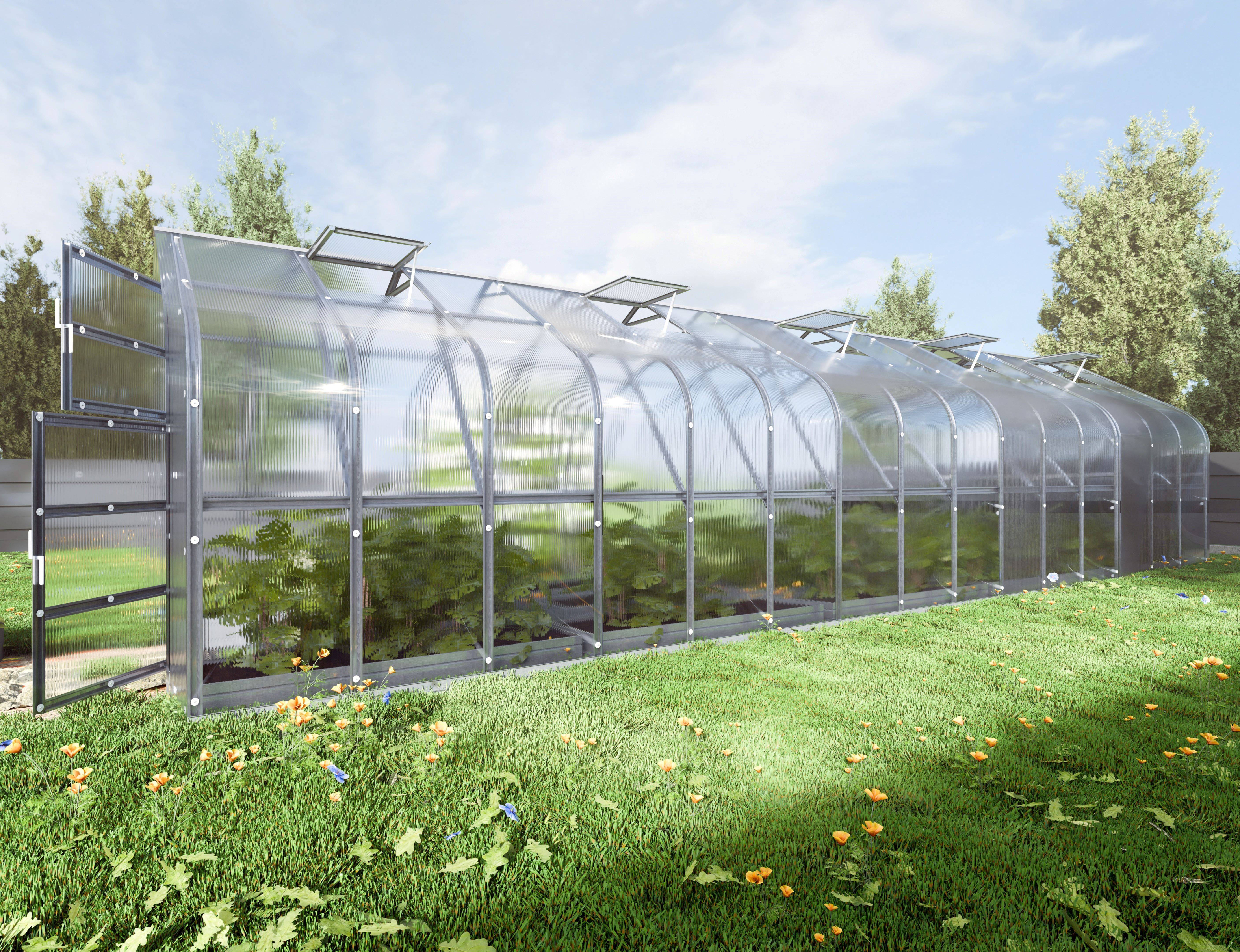 KLASIKA GREENHOUSES - Serre KLASIKA Standard 30m2, 2,5m x 12m, 6 mm avec revêtement en polycarbonate (Avec 6 toits ouvrants automatiques) - Image 1