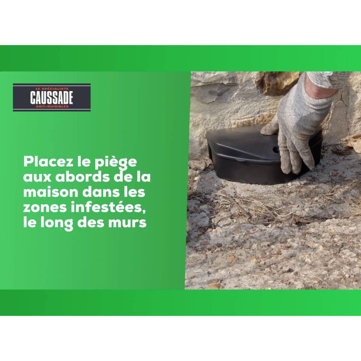 Kit Dératisation Pro : Raticide Canadien Caussade et Poste Sécurisé - Image 9
