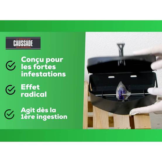 Kit Dératisation Pro : Raticide Canadien Caussade et Poste Sécurisé - Image 7