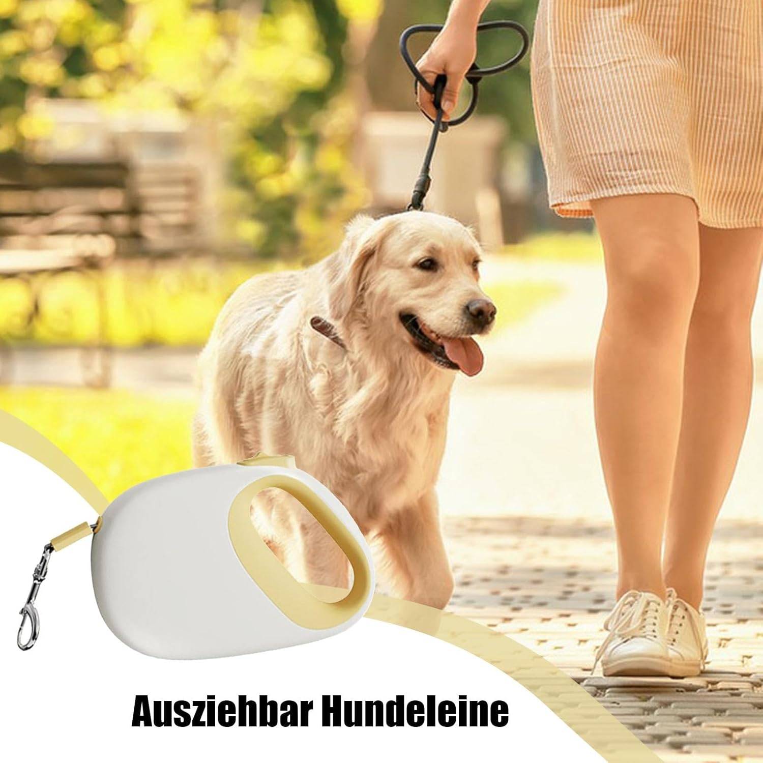 Laisse Rétractable Chien 5m - Robustesse et Portabilité DtopbuyAge - Image 2