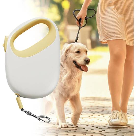 Laisse Rétractable Chien 5m - Robustesse et Portabilité DtopbuyAge - Image 3