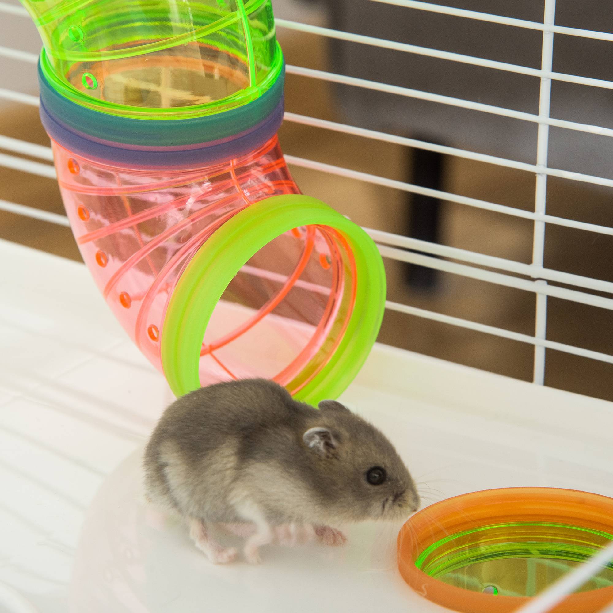 Pawhut - Grande cage à hamsters 5 niveaux - tunnels, abreuvoir, roue, maisonnette, échelles - dim. 59L x 36l x 69H cm - métal PP bleu blanc - Imagen 9