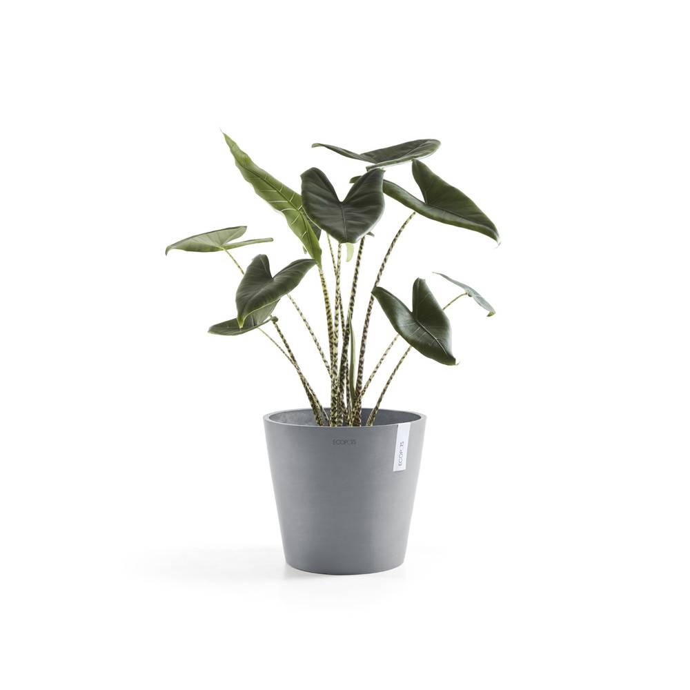 Ecopots - Pot Rond Amsterdam 40 Bleu Gris + réservoir d'eau - Ø 40 x H. 35 cm - 28 L ECOPOTS - Imagen 1