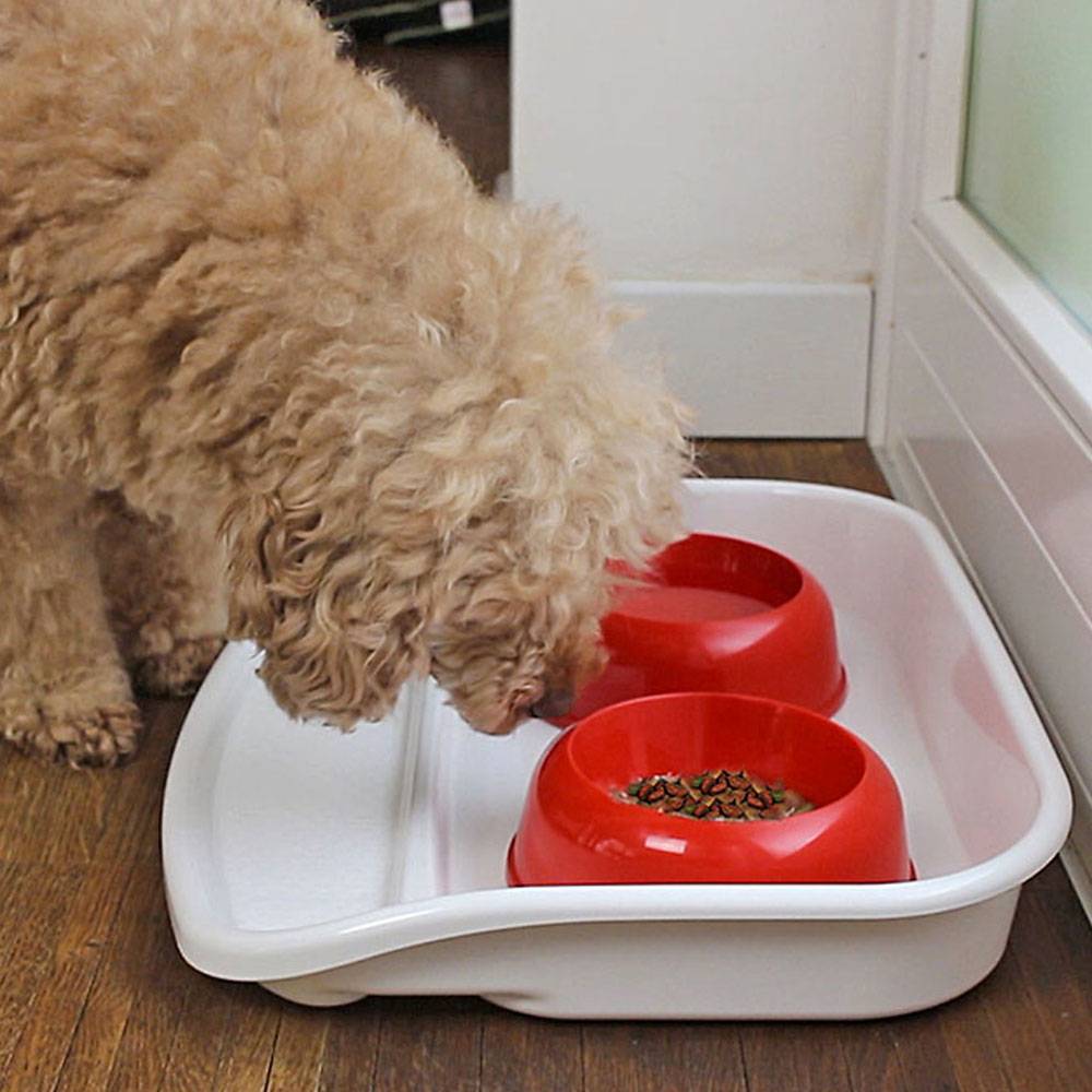 Ferplast - Ferplast Plateau avec écuelles pour chats et chiens LINDO Double écuelle pour animaux, base en plastique résistant, pieds anti-dérapant, 2 écuelles - Imagen 3