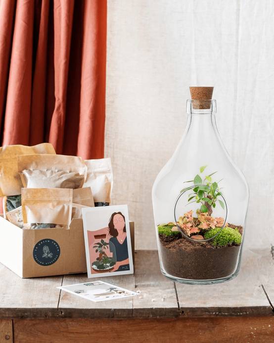 Kit Terrarium Diy - H30cm - Image 1