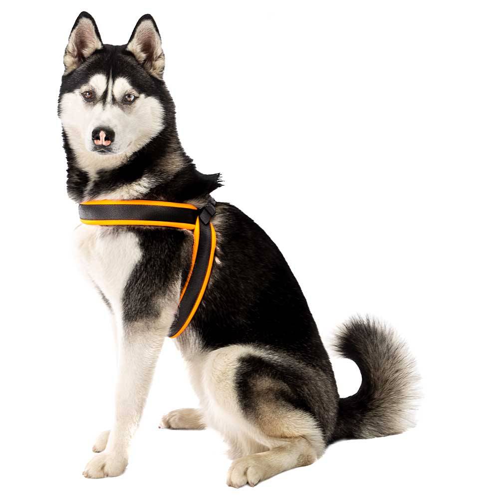 Ferplast - Ferplast Harnais ergonomique pour chiens AGILA FLUO 6, ajustement parfait, fermeture à double micro-régulation, rembourrage souple, A=B 57÷65 cm 25 mm - Imagen 4
