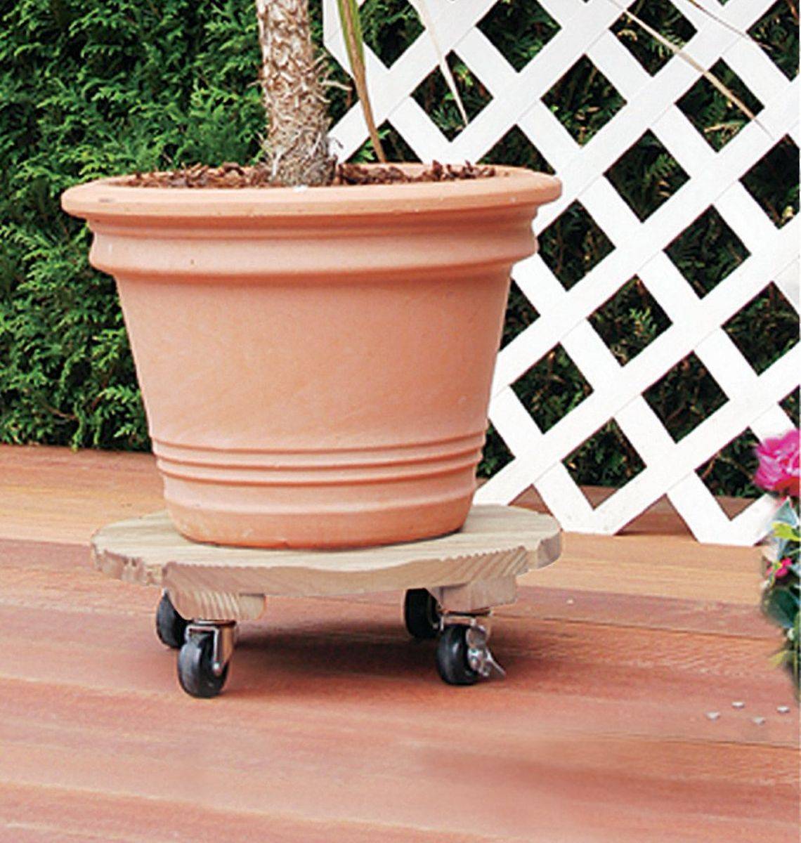 Nortène - Support à roulettes rond "Flora Roll Autoclave" - 35 cm Nortene - Imagen 1