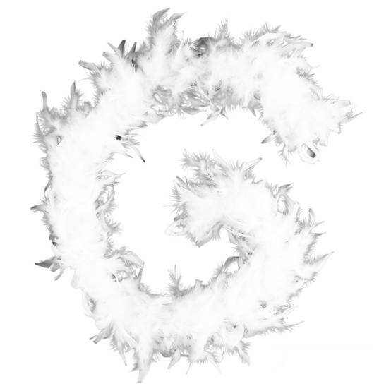 Sans Marque - Lot 2x Guirlande de Noël Plumes Boa - 1,80 m - Blanc - Toilinux