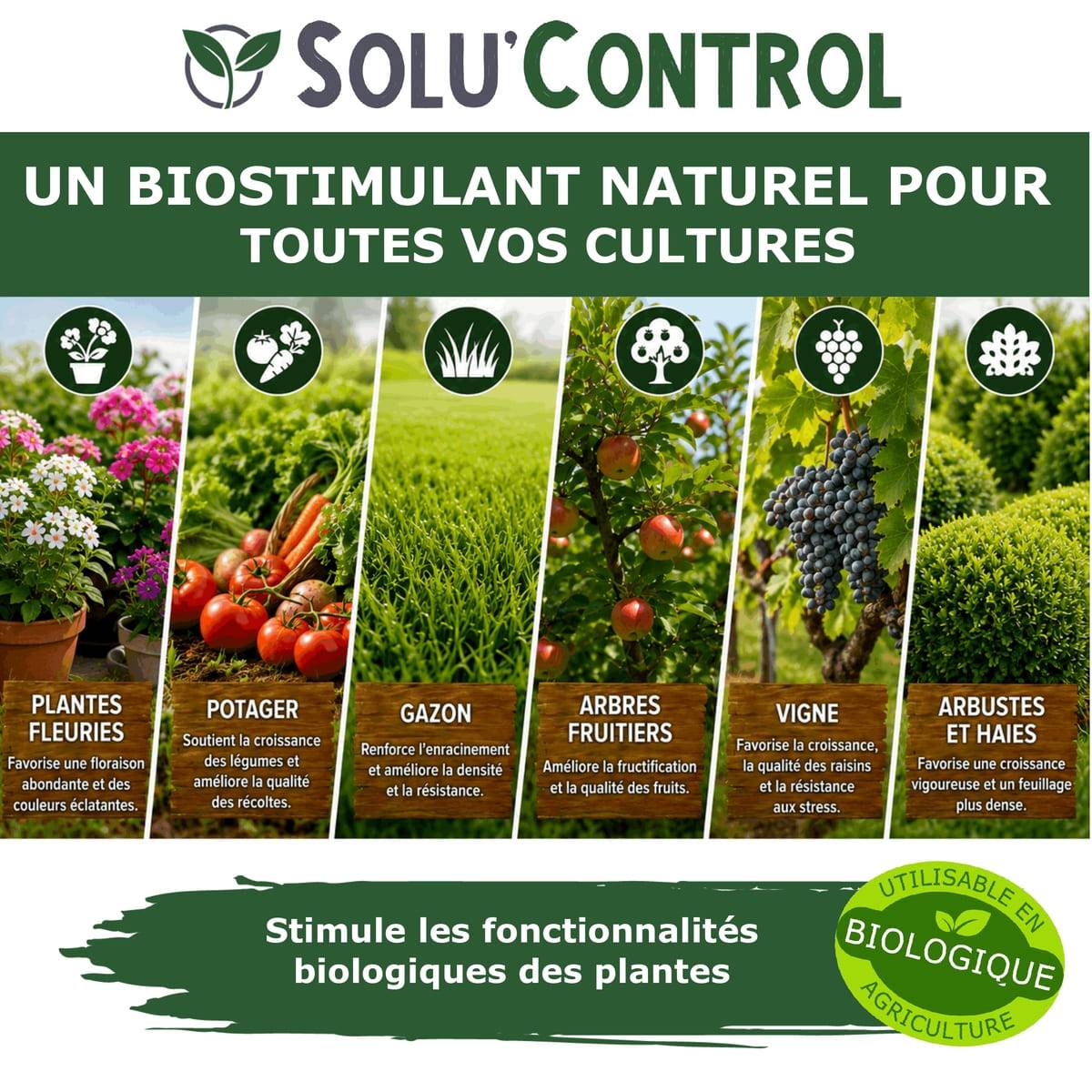Tout pour les nuisibles - Végé'Reprise 250 mL - Biostimulant concentré aux acides aminés, algues et oligo-éléments Solu'Control - Fabriqué en France - UAB - Image 5