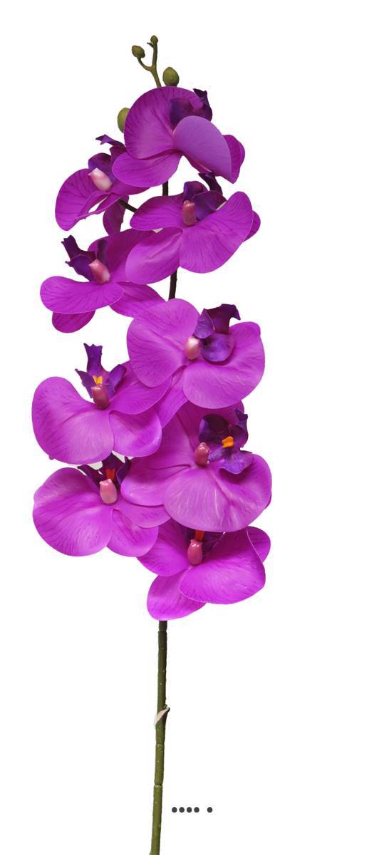Artificielles - Tige orchidée phalaenopsis faux 9fleurons Real touch H108cmPourpreBEST - couleur: Pourpre - Imagen 2