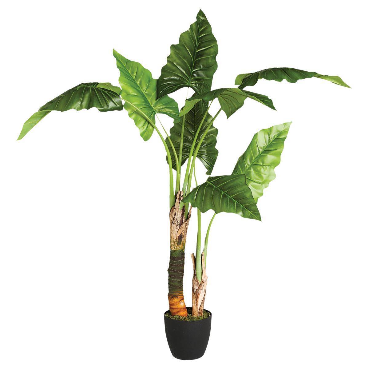 Atmosphera - Bananier artificiel H120cm - Atmosphera Créateur d'intérieur - Image 1