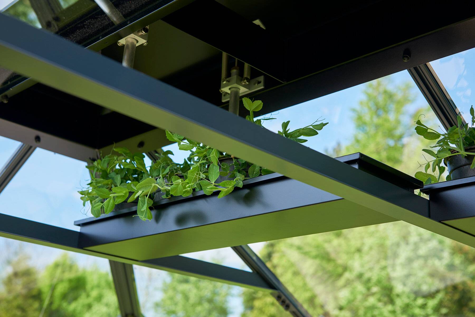 Juliana - Jardinière suspendue pour serre de jardin - noir - Image 1