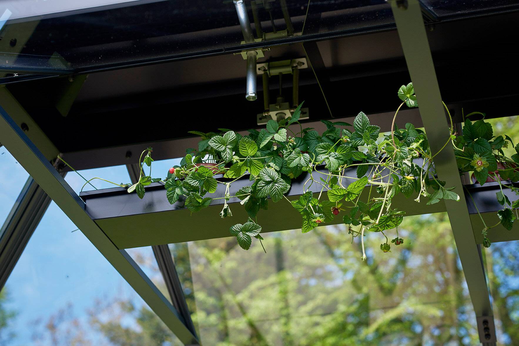 Juliana - Jardinière suspendue pour serre de jardin - noir - Image 2