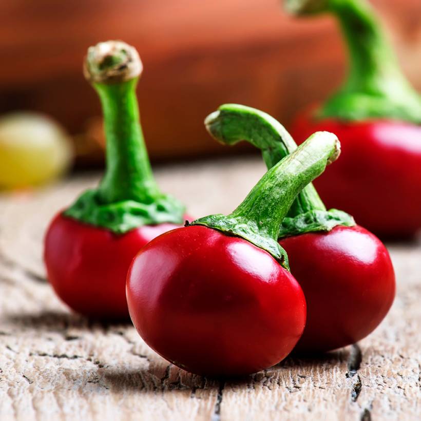 Piment Red Cherry Small Bio - Ferme de Sainte Marthe le sachet de 20 graines environ