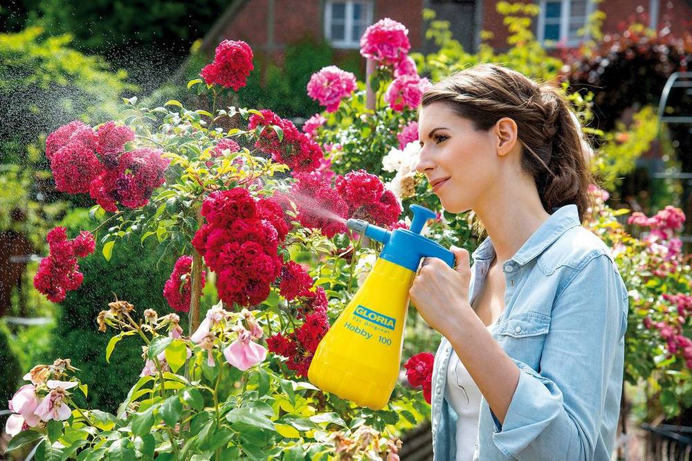 Sans Marque - Gloria Pulverisateur A Main Gloria - Modele Hobby 100 - Buse Reglable, Reservoir Polyethylene - 1l Pour Une Pression De 3 Bars - Imagen 4