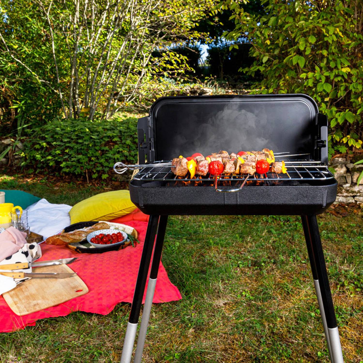 Somagic Barbecues - Barbecue à charbon 39x23cm noir 304022D00 Somagic - Image 9