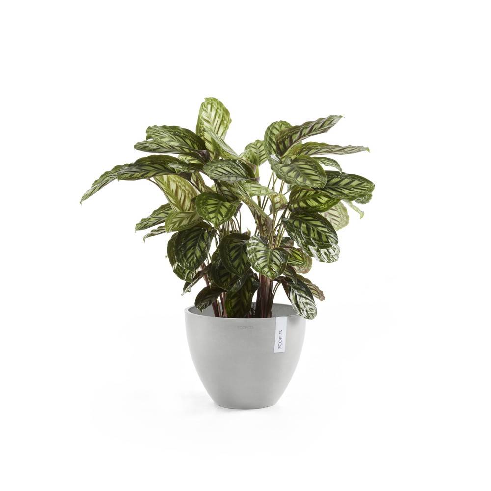 Ecopots - Pot Rond Antwerp 30 Blanc Gris - Ø 30 x H. 25,5 cm - 11,4 L ECOPOTS - Imagen 1